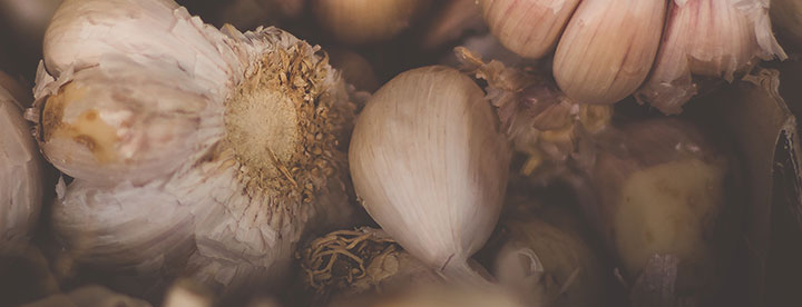 top 10 super foods garlic