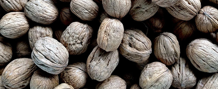 top 10 superfoods walnuts