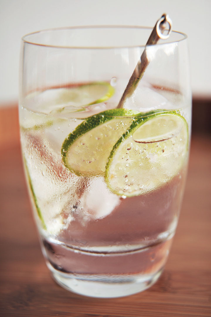 Ginger gin and tonic recipe
