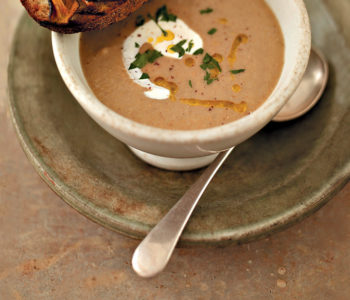Mushroom stroganoff soup recipe