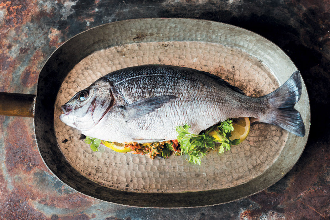 Salt-baked fish with harissa paste recipe