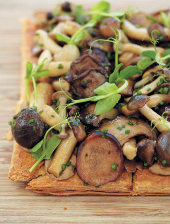 Wild mushroom tart with porcini vinaigrette and pea shoots recipe