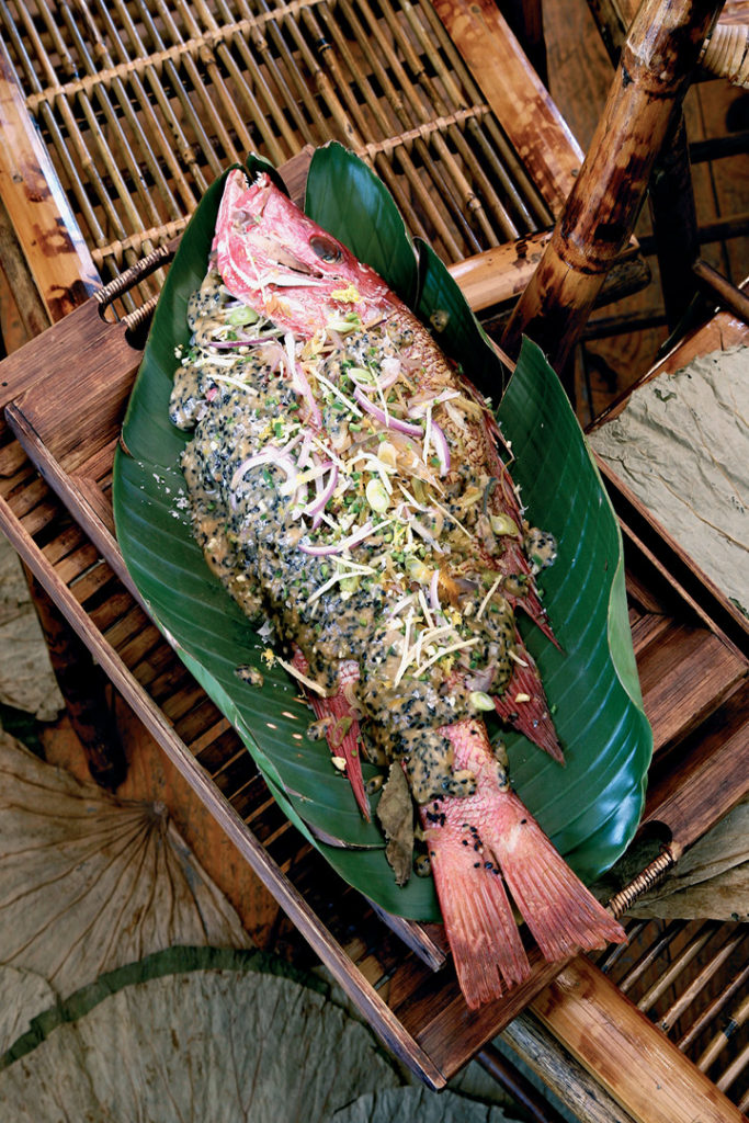 Steamed red snapper with miso recipe