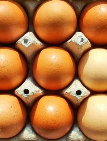 How to check if an egg is still fresh? Egg freshness test