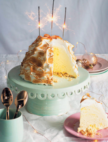 Coconut lemon meringue ice cream cake