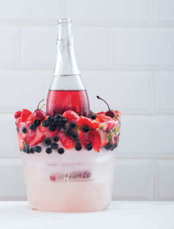How to make a berry ice bucket