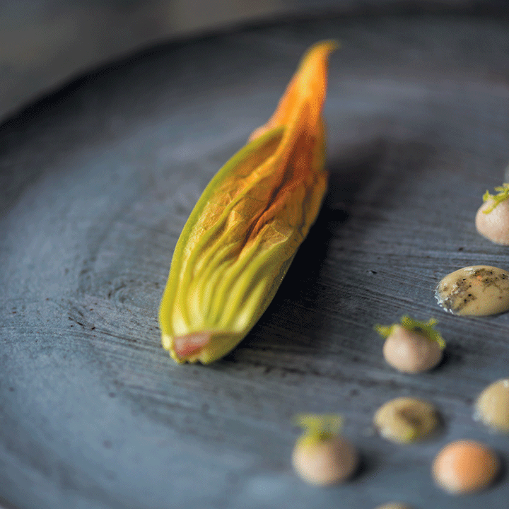 Courgette flower stuffed with deep-sea shrimp
