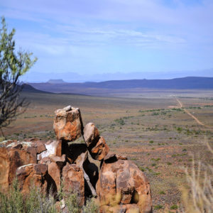 Tankwa Karoo National Park