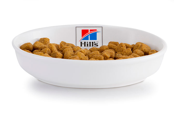 Win a #HillsKittyBowl hamper with Hill’s 