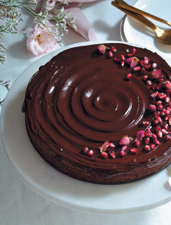 Hazelnut chocolate torte with dark chocolate ganache icing