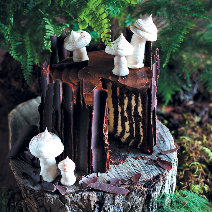 Magical forest chocolate log cake