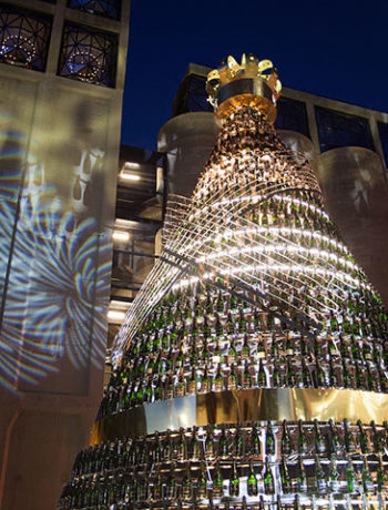 Moët & Chandon’s Golden Tree Lighting Ceremony opens SA’s festive season to the sounds of the South African Youth Choir