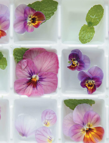 How to make floral ice cubes