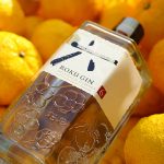 Roku Gin review | Crafted by Japanese artisans