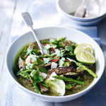 Lighter Thai Green Curry Recipe