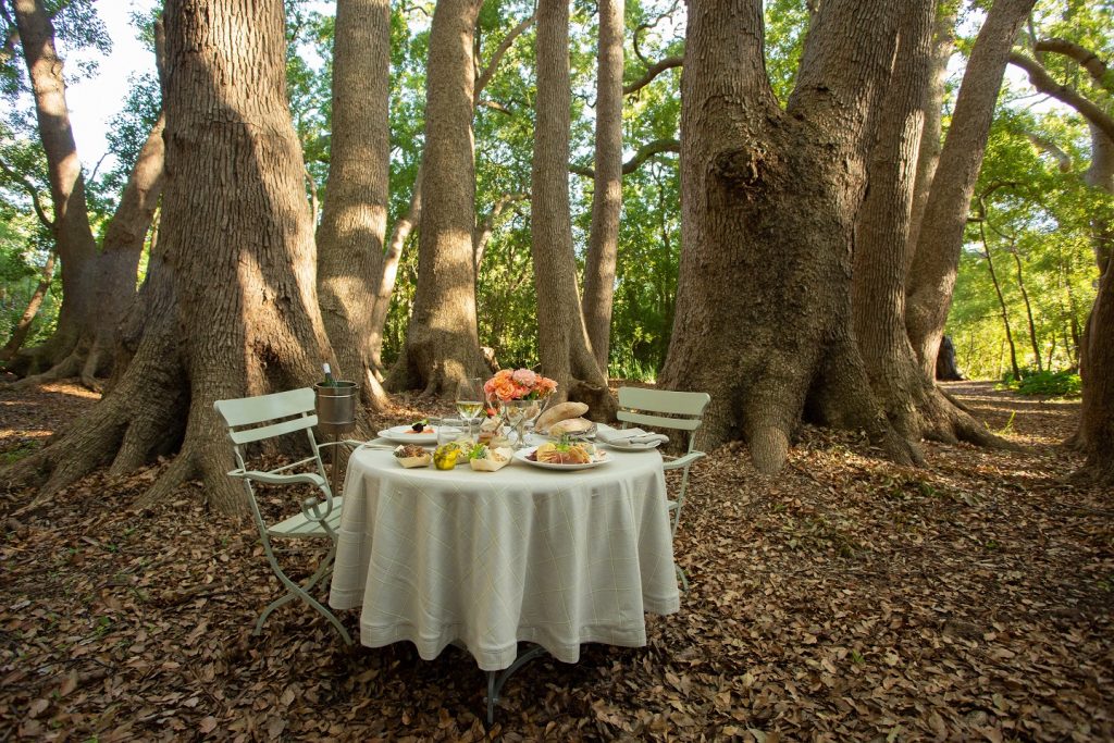 A Picnic in the Forest - Get Swept Up in the Magic at Vergelegen