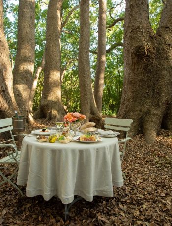 A Picnic in the Forest - Get Swept Up in the Magic at Vergelegen