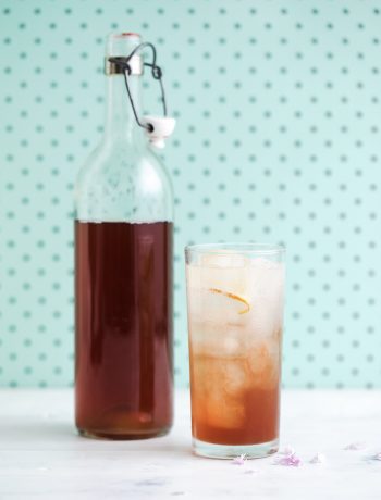 Fruity Hibiscus tea soda