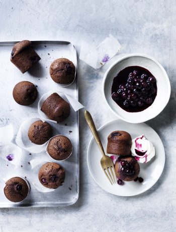 Merlot and blueberry cakes