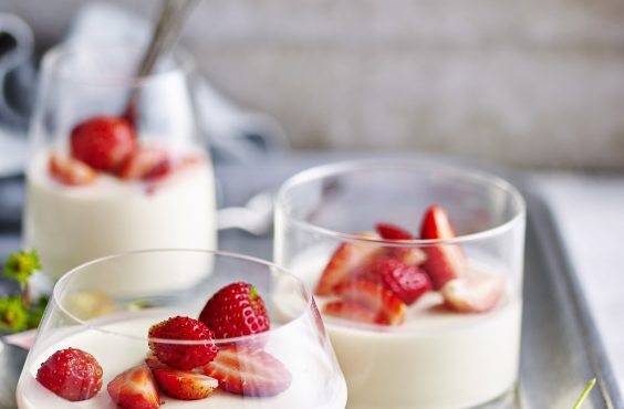 yoghurt panna cotta