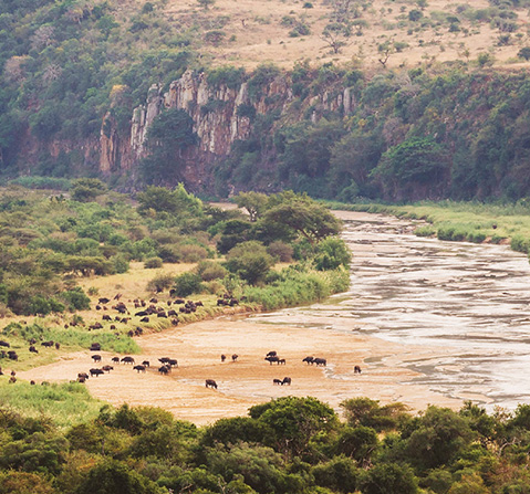 mfulawozi wilderness camp