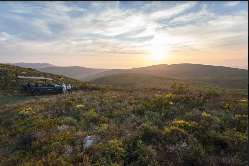 Glorious, gorgeous Grootbos