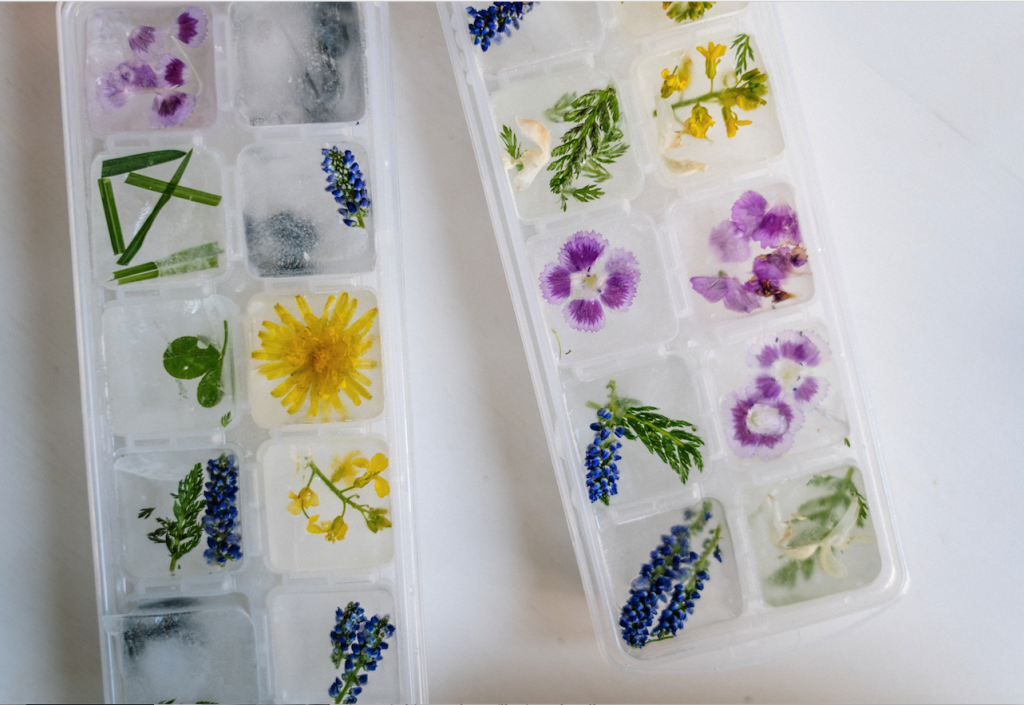 Floral ice cubes