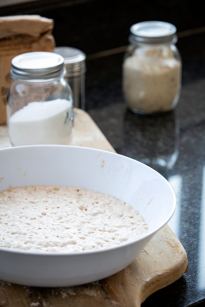 101 to a homemade yeast starter