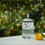 Celebrate international gin and tonic day with Roku