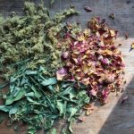 How to dry your own herbs