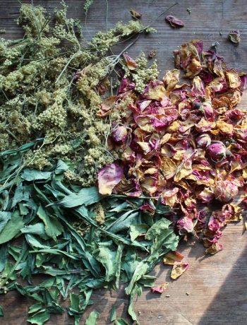 piles of dried herbs