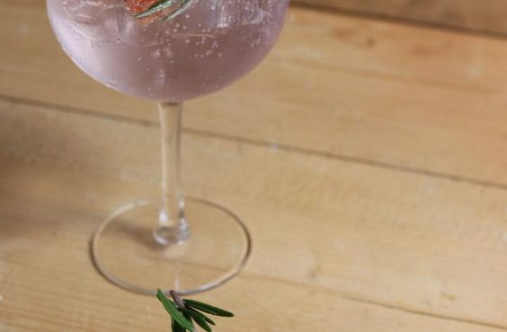 gin and tonic with grapefruit and rosemary