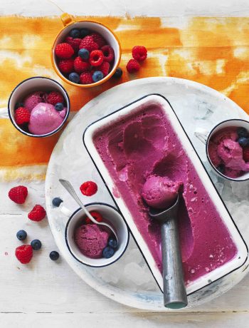 Frozen berry yogurt