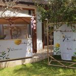 Roku gin: a six-sided history in botanicals
