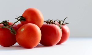 tomatoes