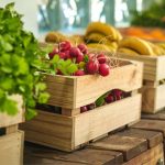 SA Harvest calls on the logistics industry for support in reducing food waste and hunger