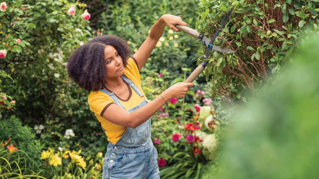 pruning - gardena