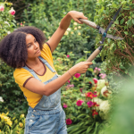Pruning with Gardena: How to give your tree a new look