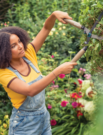 pruning - gardena