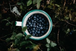 Blueberries - Unsplash