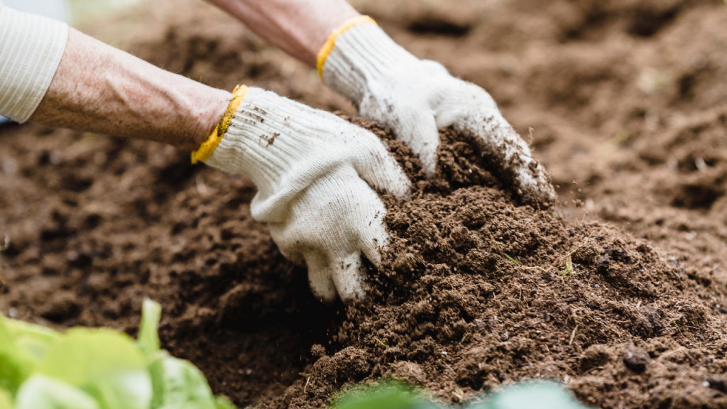 First Aid Kit in your Garden