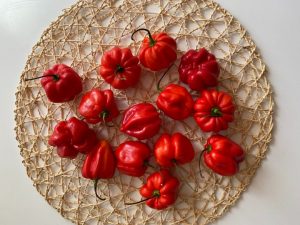 Red bell peppers - pexels