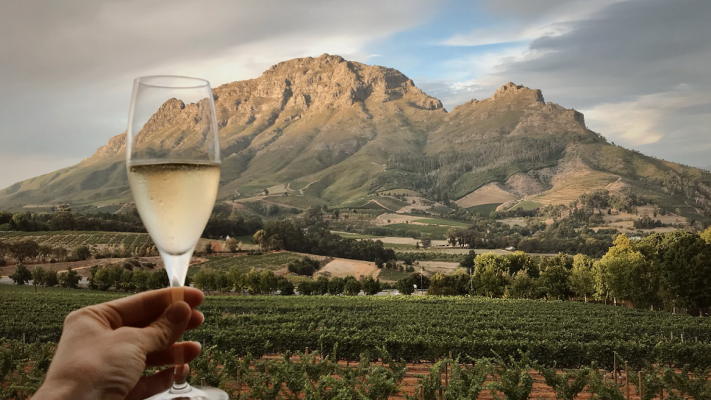 Stellenbosch wine town