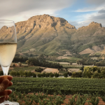 The 25 Best Restaurants in Stellenbosch