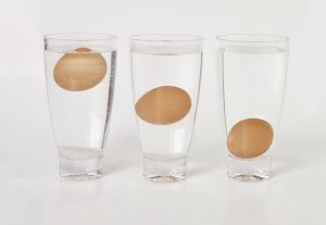 Egg in a glass test