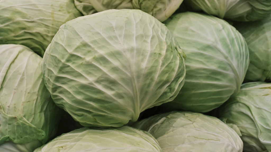 Tips for cooking cabbage feature image