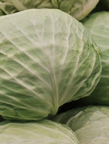 Tips for cooking cabbage feature image