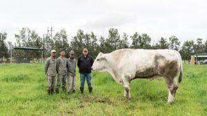 farm - babylonstoren