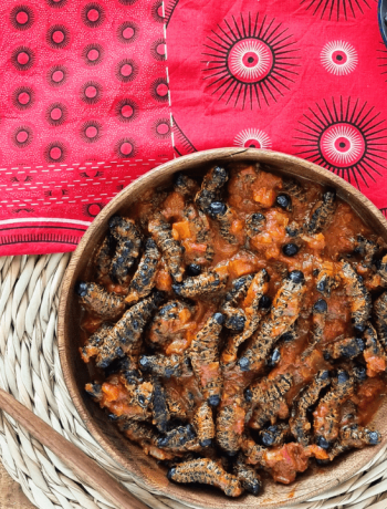 Mopane worms