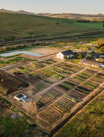 Spier Food Garden